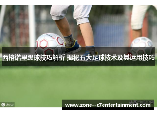 西格诺里踢球技巧解析 揭秘五大足球技术及其运用技巧 西格诺里踢球技巧解析 揭秘五大足球技术及其运用技巧