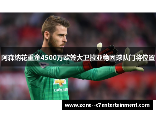 阿森纳花重金4500万欧签大卫拉亚稳固球队门将位置